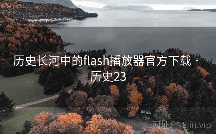 历史长河中的flash播放器官方下载 · 历史23